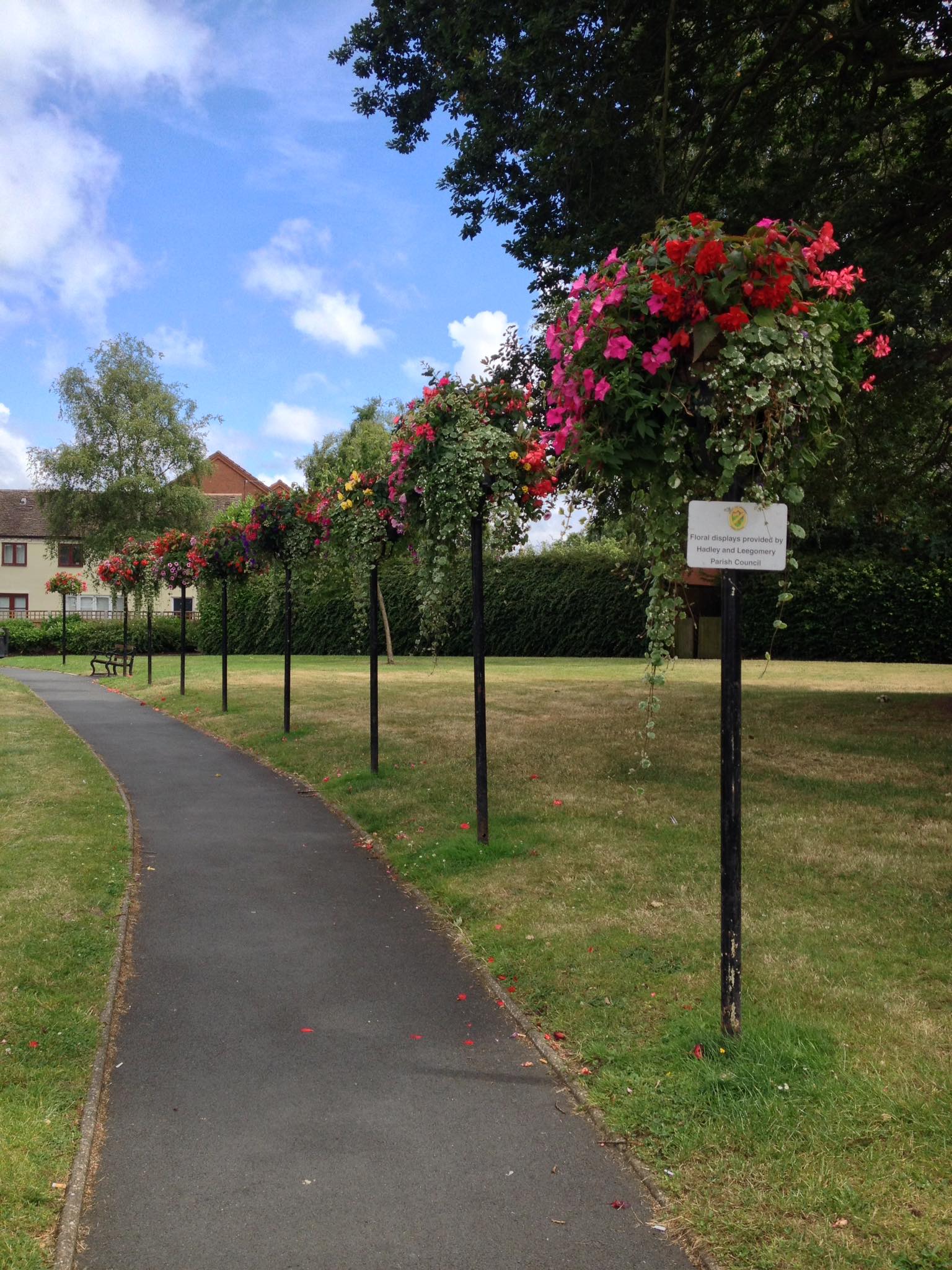 floral displays